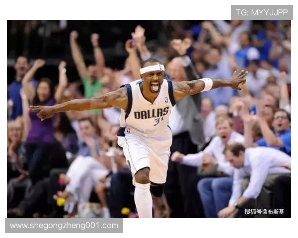 2011年NBA总决赛回顾：小牛逆袭热火成就历史传奇之战