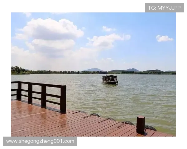 苏州姚明杰：探索传统文化与现代艺术的完美融合之旅